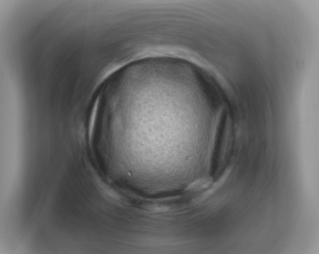 X0000113331505200909281217