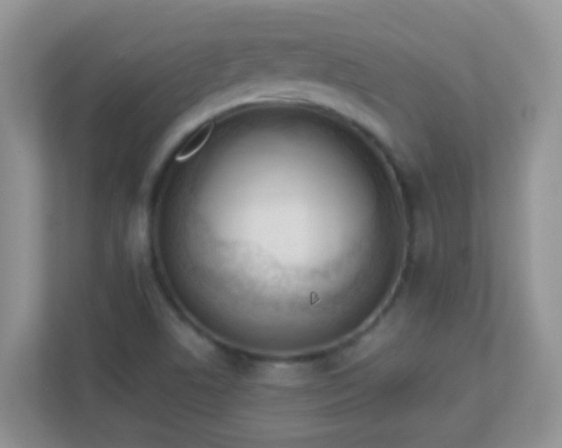 X0000113331506200909281217
