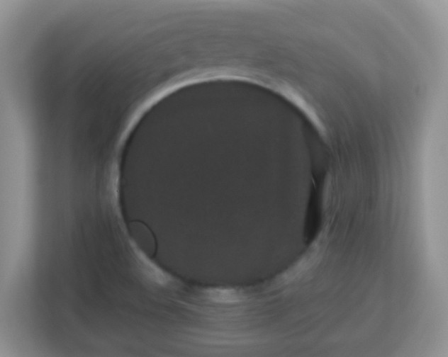 X0000113331508200909281217