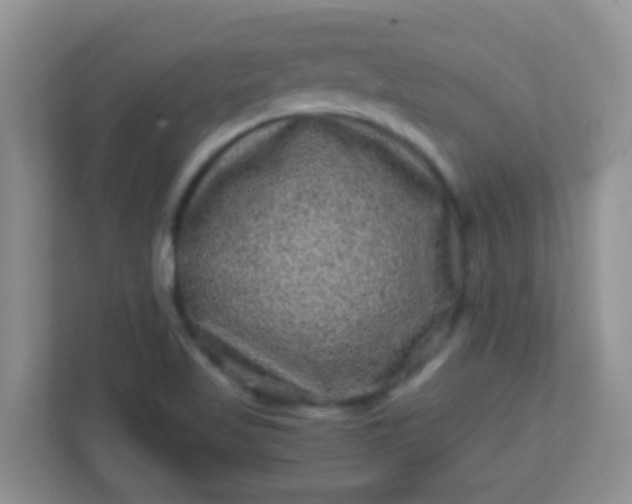 X0000113331509200909281217
