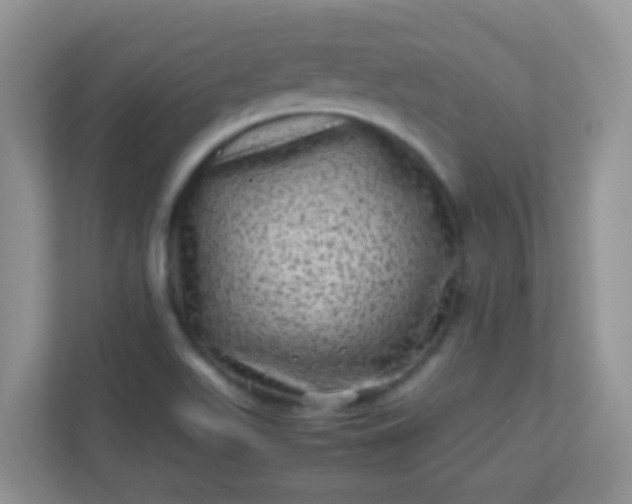 X0000113331511200909281217