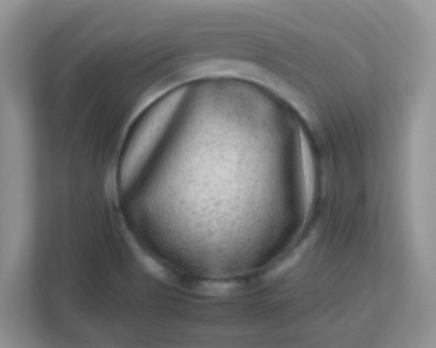 X0000113331513200909281217