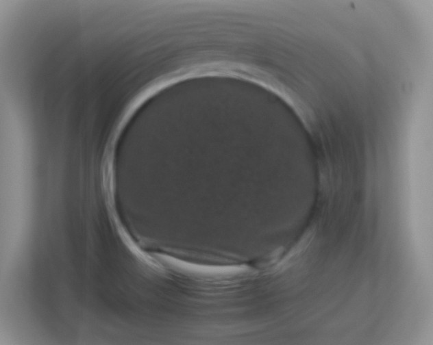 X0000113331515200909281217
