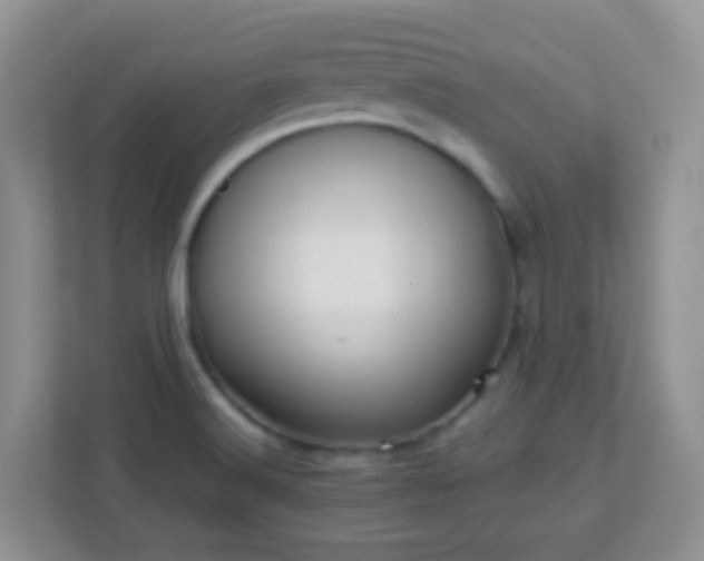 X0000113331516200909281217