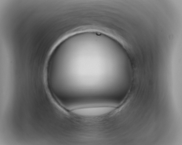 X0000113331518200909281217