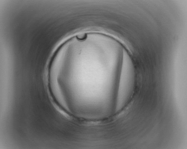 X0000113331519200909281217