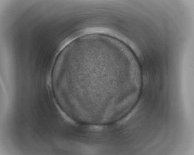 X0000113331521200909281217