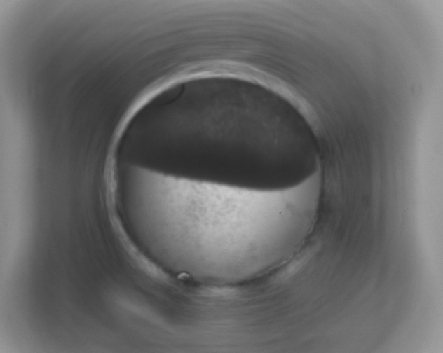 X0000113331522200909281217