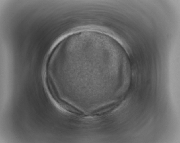 X0000113331523200909281217