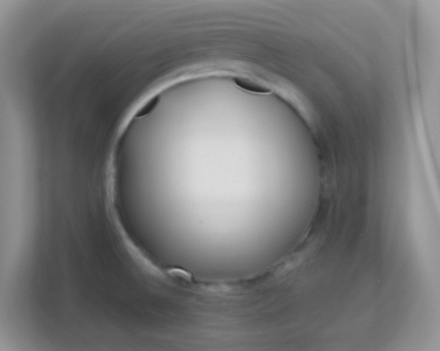 X0000113331524200909281217