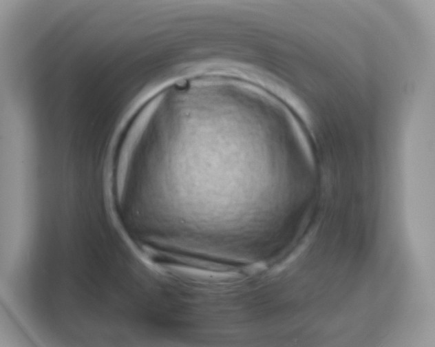 X0000113331525200909281217