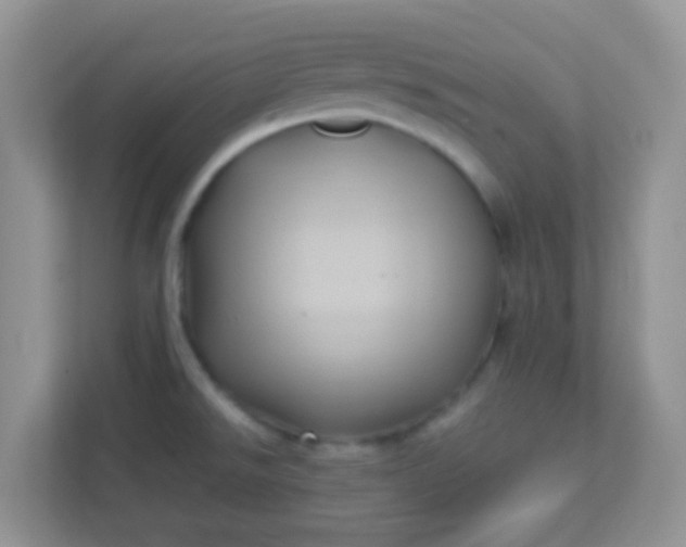 X0000113331526200909281217