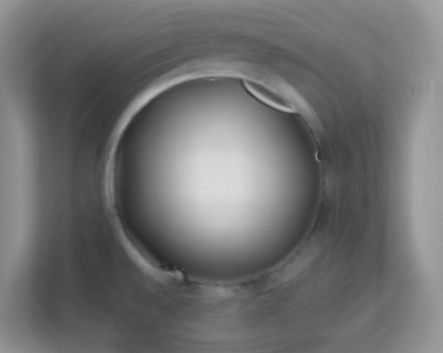 X0000113331528200909281217