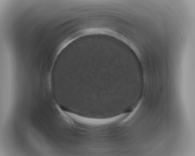 X0000113331529200909281217