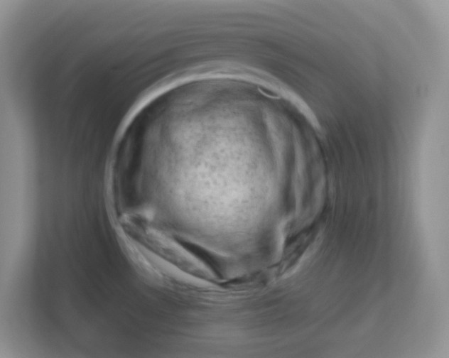X0000113331530200909281217