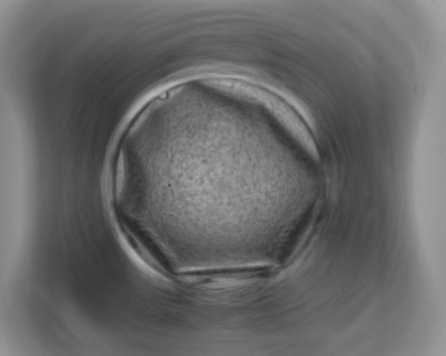 X0000113331531200909281217