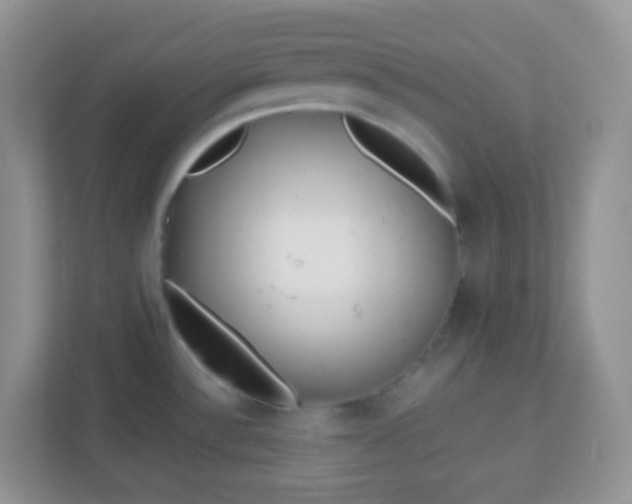 X0000113331532200909281217