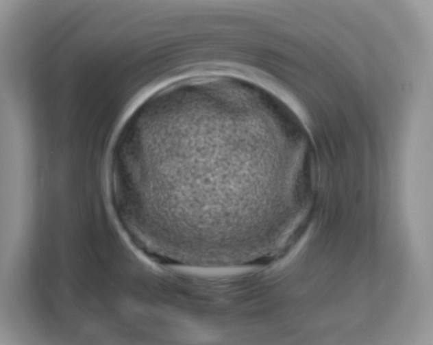 X0000113331533200909281217