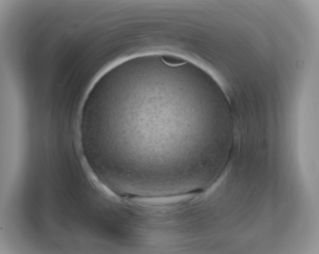 X0000113331534200909281217