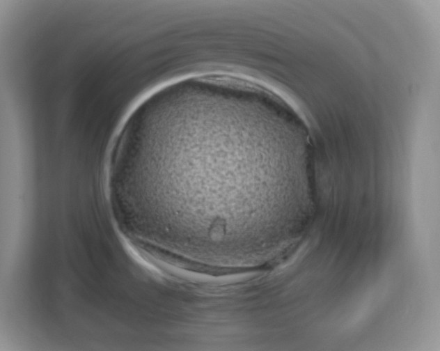 X0000113331535200909281217