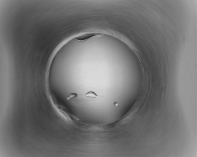 X0000113331536200909281217