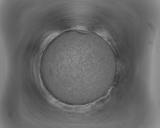 X0000113330001200910051156