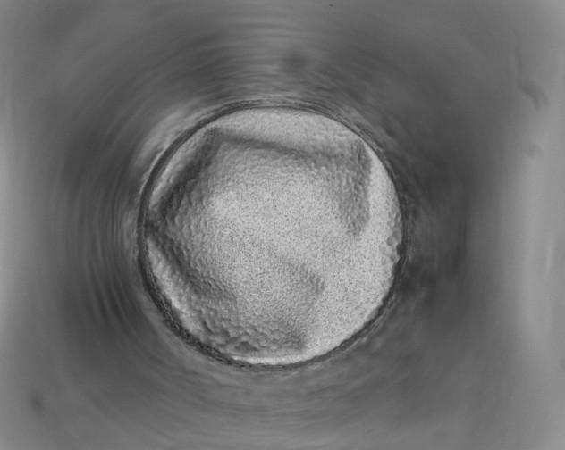 X0000113330002200910051155