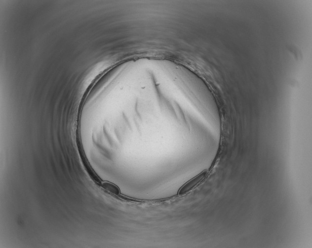 X0000113330003200910051155