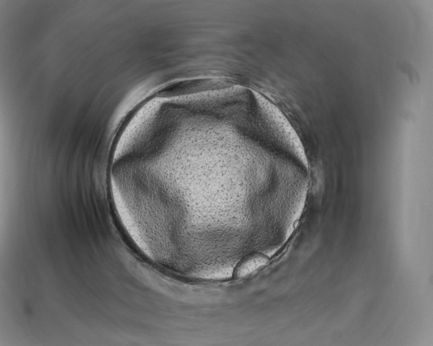 X0000113330004200910051155