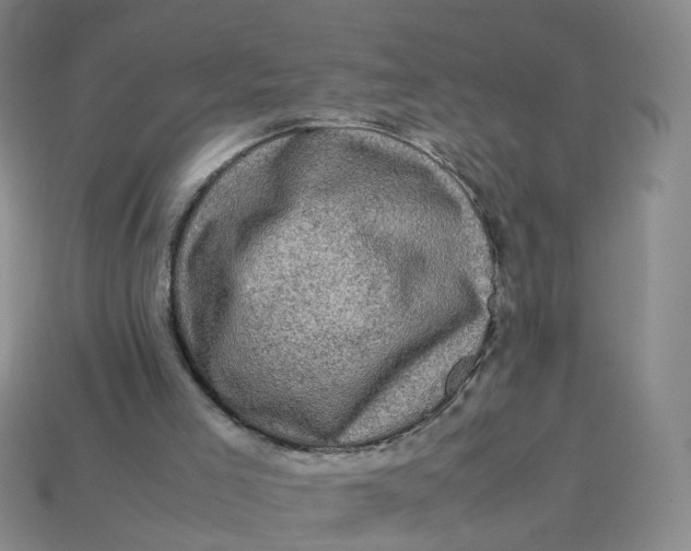 X0000113330005200910051155