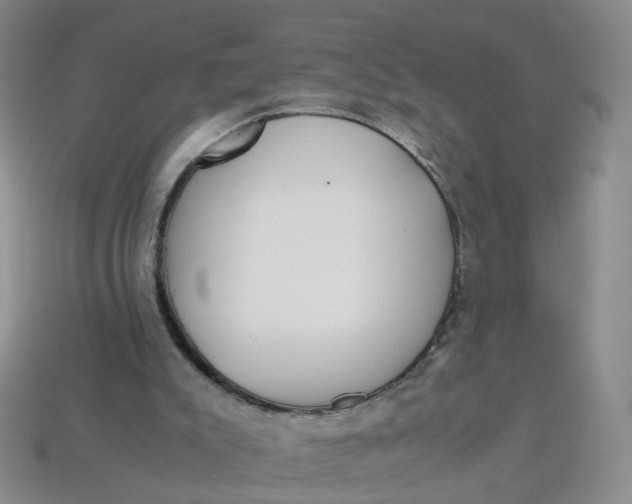 X0000113330007200910051155