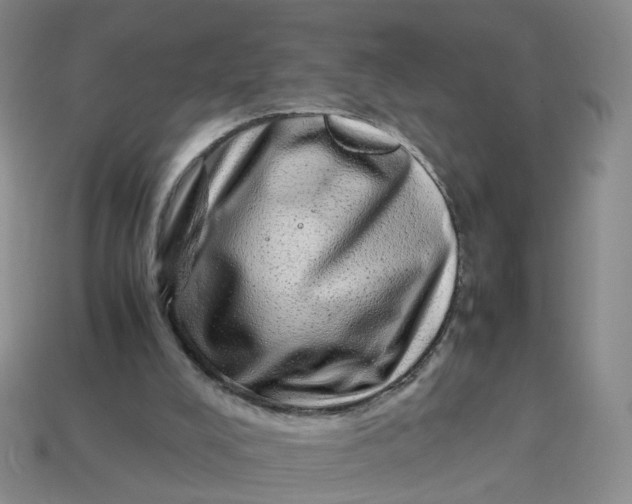 X0000113330008200910051155