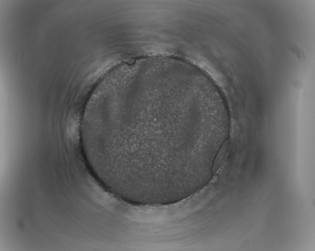 X0000113330009200910051155