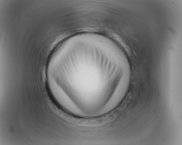 X0000113330011200910051155