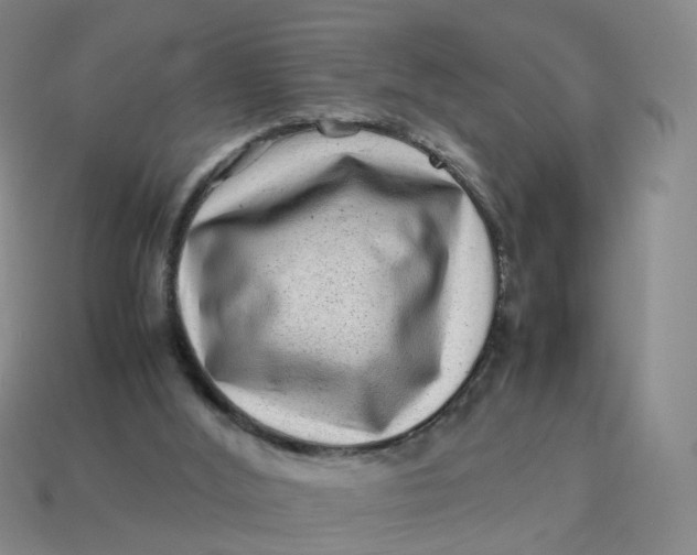 X0000113330012200910051155