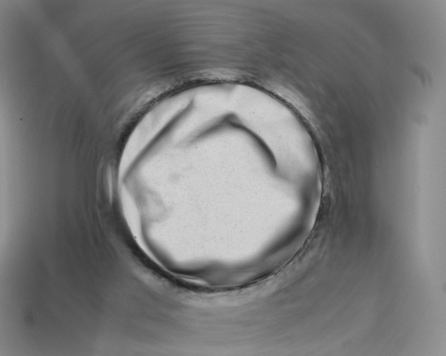 X0000113330013200910051155