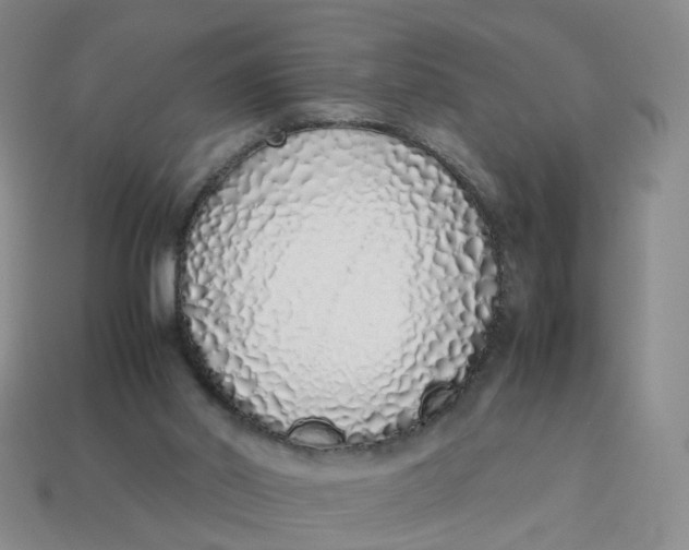 X0000113330014200910051155