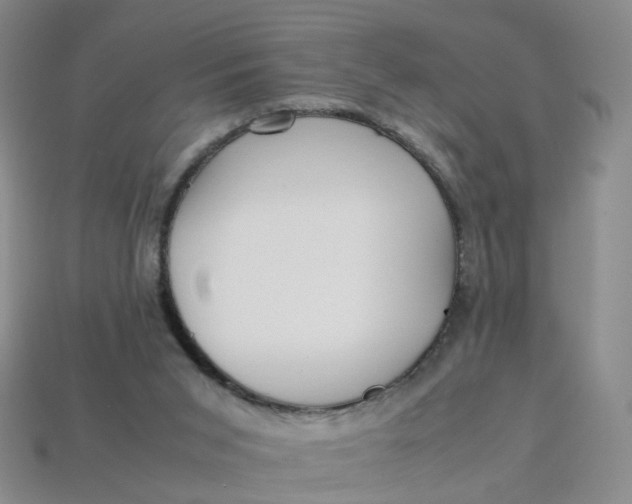 X0000113330015200910051155