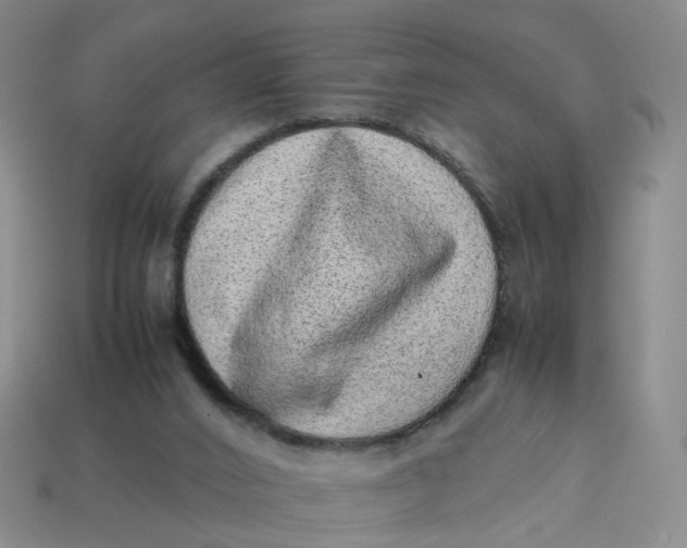 X0000113330016200910051155