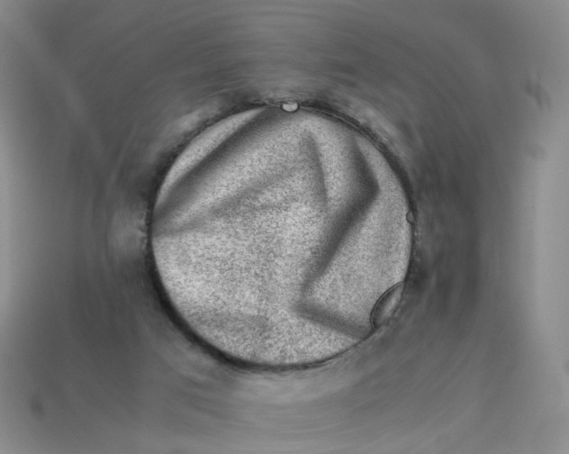 X0000113330017200910051155