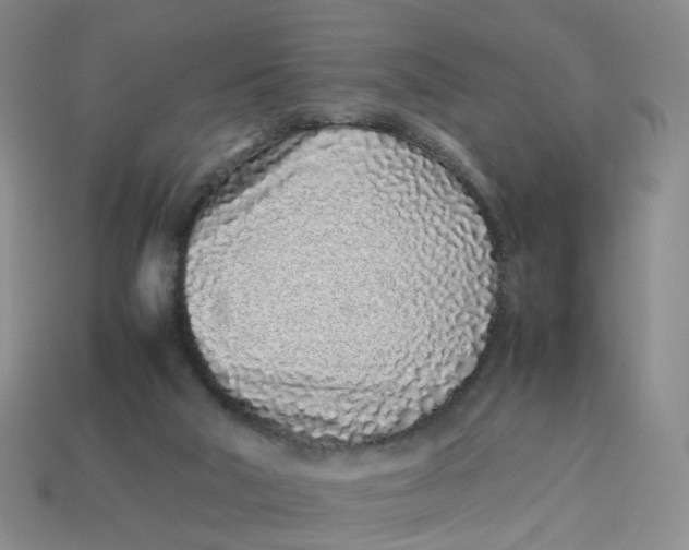 X0000113330018200910051155