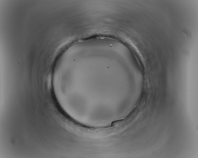 X0000113330019200910051155