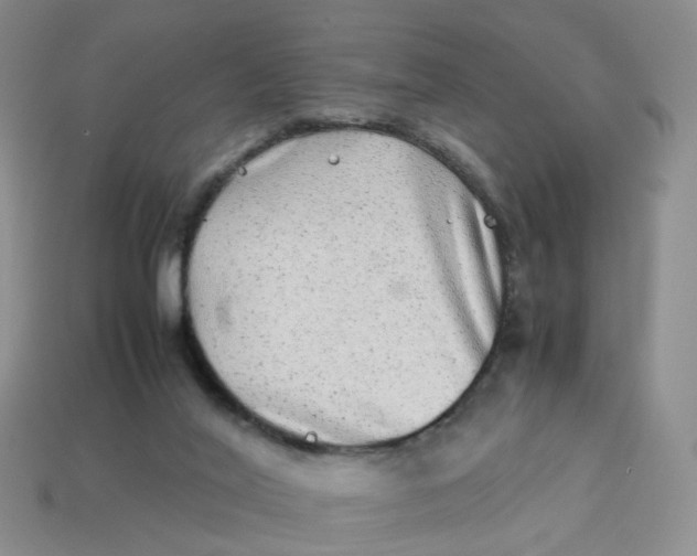 X0000113330020200910051155