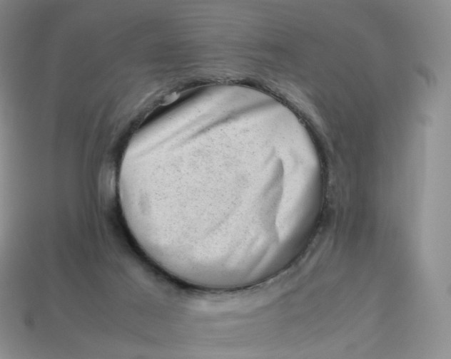 X0000113330021200910051155