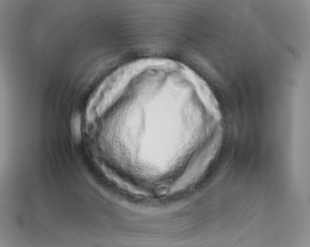 X0000113330022200910051155