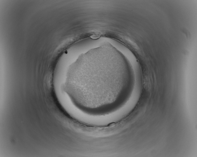 X0000113330023200910051155