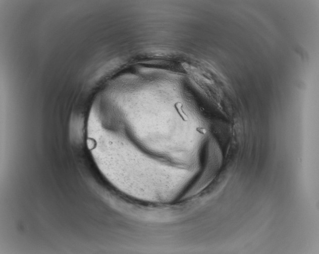 X0000113330024200910051155