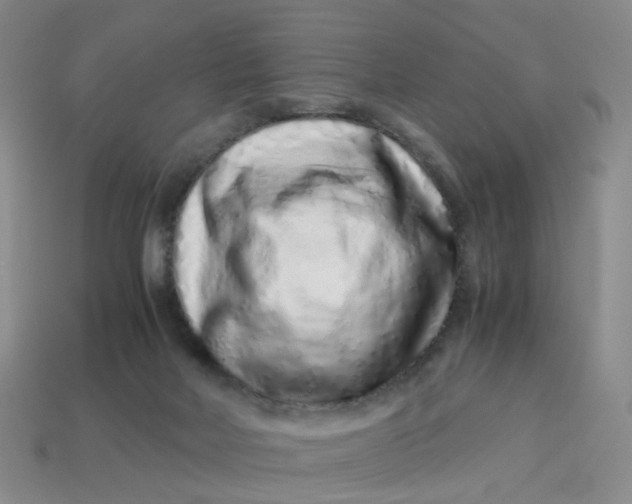 X0000113330026200910051155