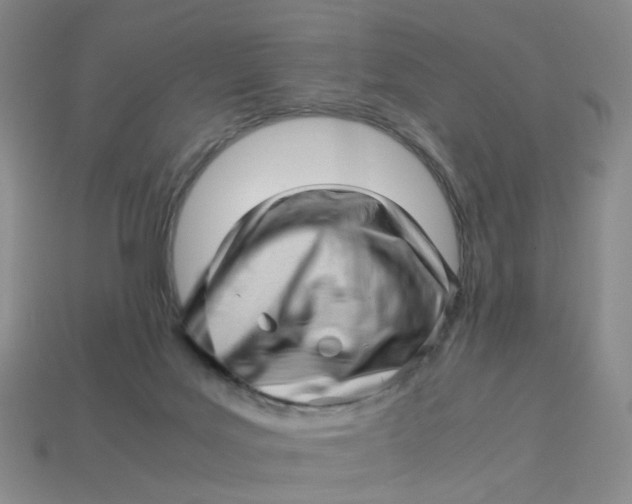 X0000113330027200910051155