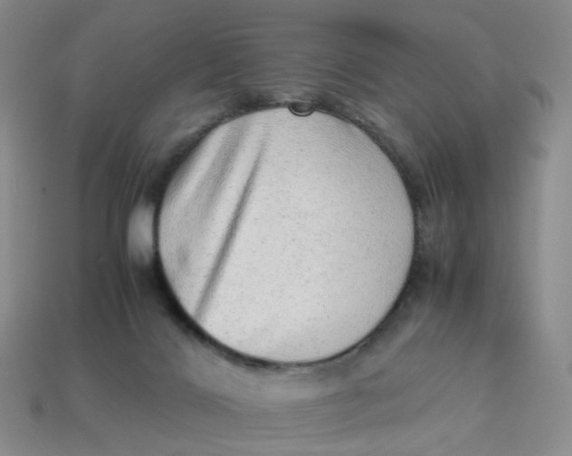 X0000113330028200910051155
